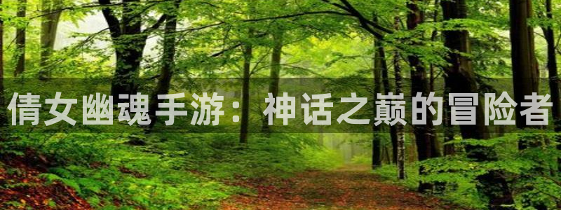 28大神app下载页面