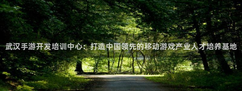 manbet评测：武汉手游开发培训中心：打造中国领先的移动游