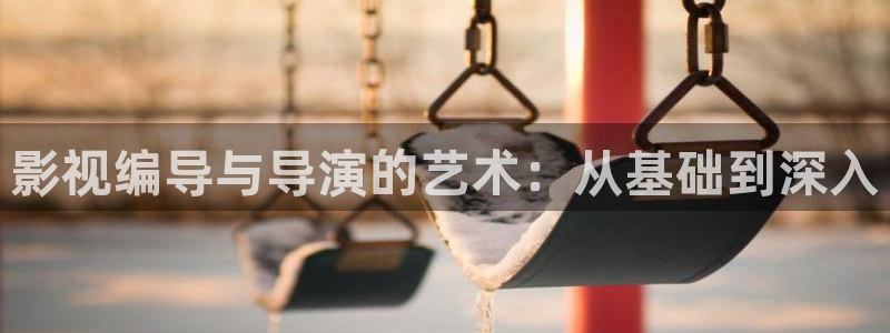 皮特影院大全免费播放：影视编导与导演的艺术：从基础到深入