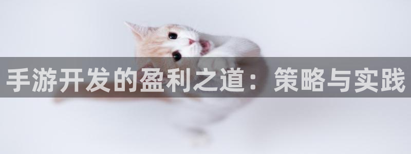 pc28大神苹果下载：手游开发的盈利之道：策略与实践